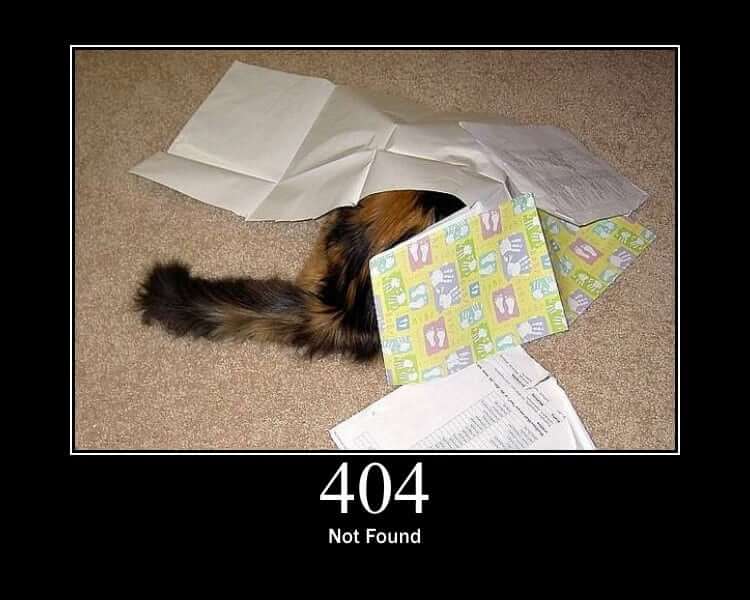 404 Cat - Page Not Found